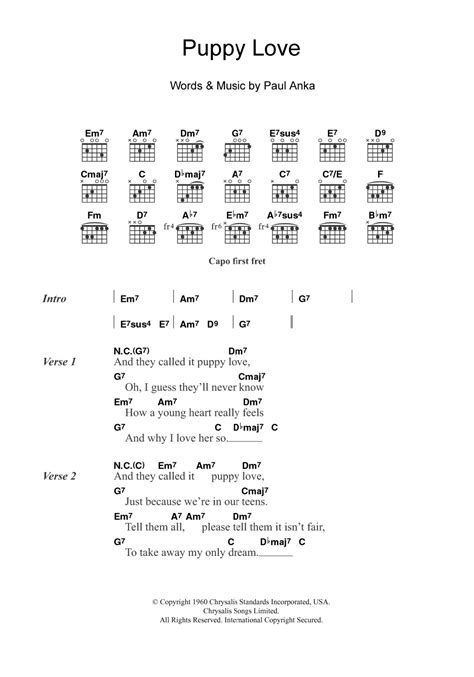 Puppy Love by Donny Osmond - Guitar Chords/Lyrics - Guitar Instructor