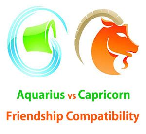 Aquarius and Capricorn Friendship Compatibility