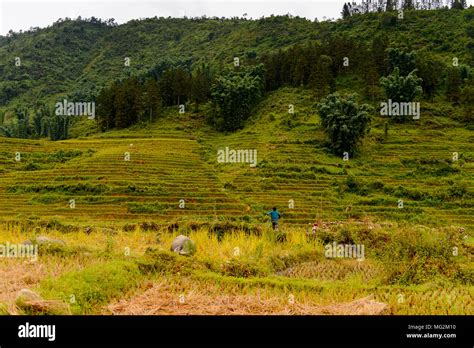 Beautiful nature of Vietnam Stock Photo - Alamy