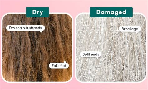 How To Tell if You Have Dry vs Damaged Hair | Coco & Eve