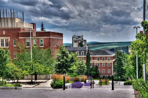 Washington State University Photograph - Washington State University ...