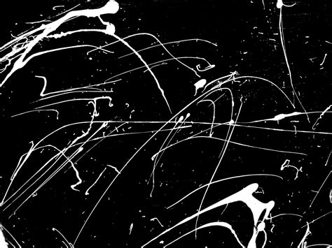 Black And White Paint Splat Free Stock Photo - Public Domain Pictures