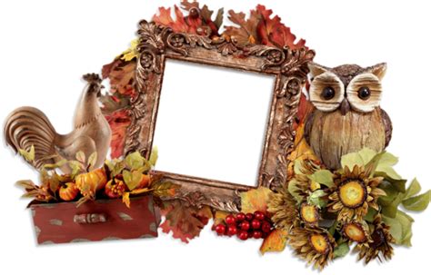 Cadre automne png, hibou - Autumn frame png, owl, fall