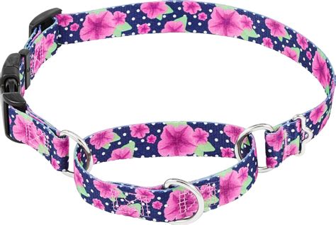 FRISCO Patterned Polyester Martingale Dog Collar with Buckle, Large: 20 ...