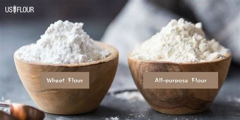 Explain the differences between all-purpose flour and wheat flour - US Flour Corp