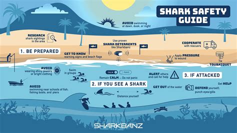 How to Avoid a Shark Attack - Shark Safety Guide