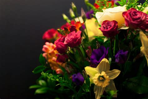 Signature Bouquet of Seasonal Flowers - Clifton Flowers