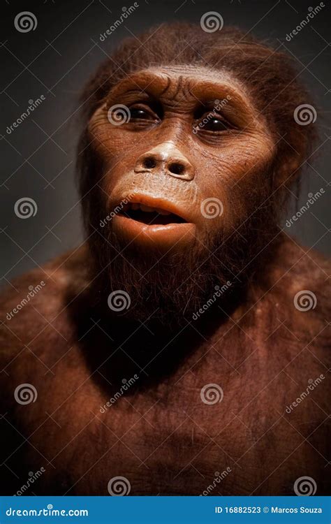 Caveman Editorial Stock Photo - Image: 16882523