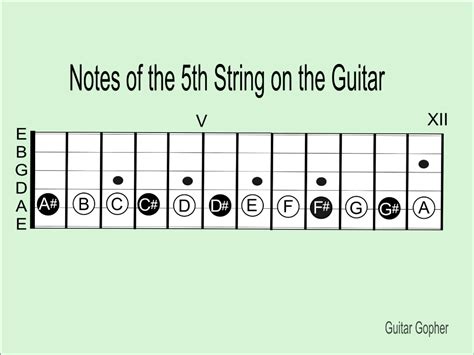 Guitar String Note Chart