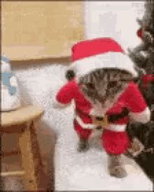 Christmas Funny GIFs | Tenor