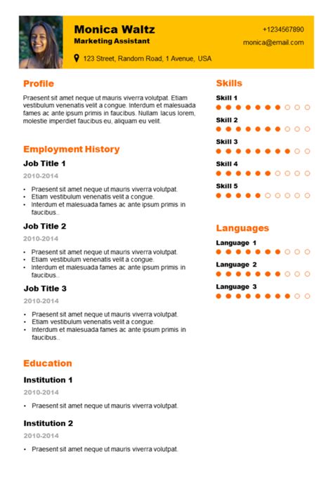 EZ Resume Template 6 - BigProductStore.com