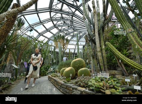 View, architecture, Berlin, botanical garden, Germany, building, building, greenhouse ...