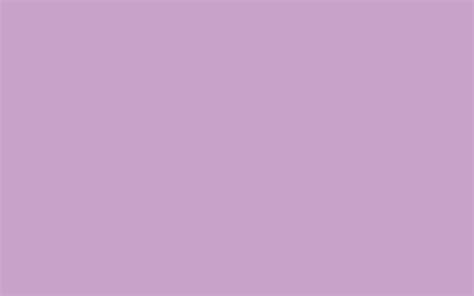 2560x1600 Lilac Solid Color Background