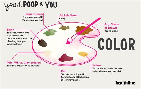 Identifying Types of Poop with the Bristol Stool Chart and More