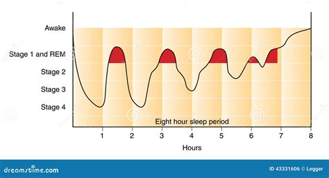 Sleep Graph Stock Illustration - Image: 43331606