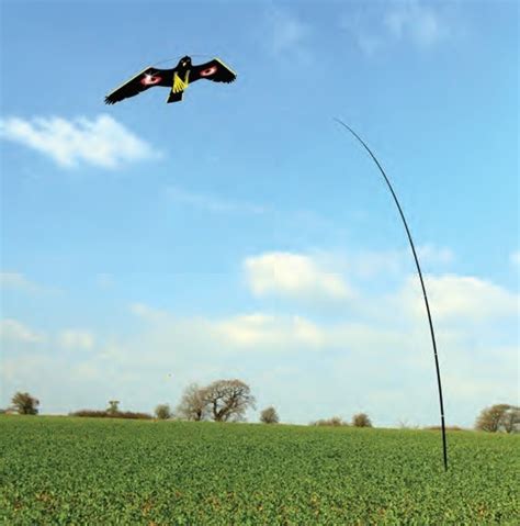 Bird Kite with 9 Meter Pole | BIRD BUSTERS