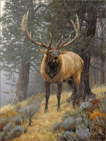 Bull Elk Oil Painting by Bruce Miller