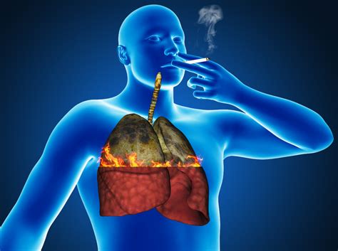 The effect of cigarettes on lungs: the negative effects of nicotine