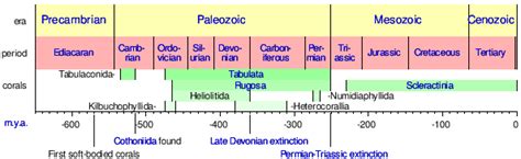 Fossil Record Timeline