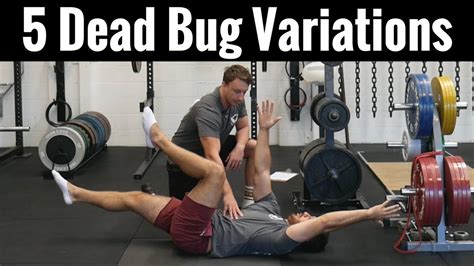 5 Best Dead Bug Variations | Core Progressions and Regressions - YouTube