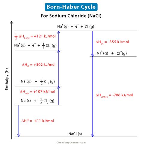 Haber Process Diagram