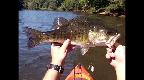 FLINT RIVER SHOAL BASS FISHING WITH BULLSHAD SWIM BAIT – Bass Manager | The Best Bass Fishing ...