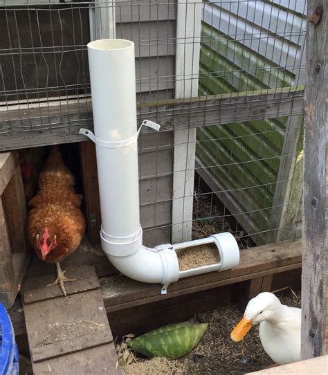 DIY PVC Chicken and Duck Feeder | Farming Made Easy