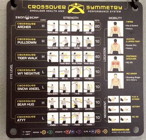 Crossover Symmetry Iron Scap Workout Chart for Build Muscle | Fitness and Workout ABS Tutorial