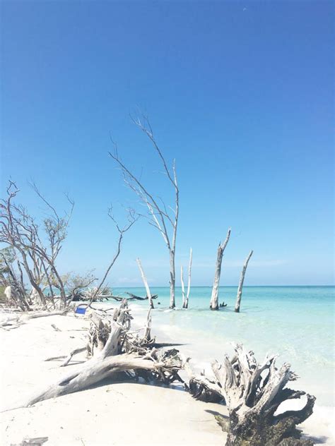 Lovely Longboat Key, FL - Sarah Tucker