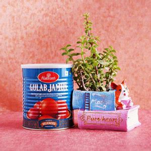 Jade Plant in Dog Pot with Haldiram Gulab Jamun - Online Plants Delivery