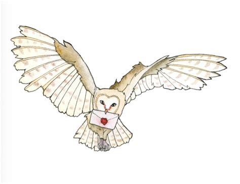 Harry Potter Owl Drawing at GetDrawings | Free download