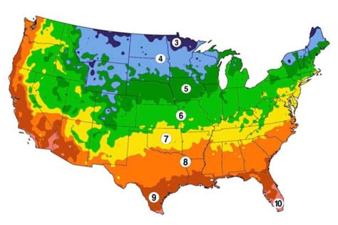 What Are Gardening Zones And What’s Your Planting Zone?