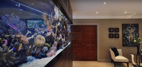 INCREDIBLE CUSTOM AQUARIUM DESIGN | 5 Star Reviews