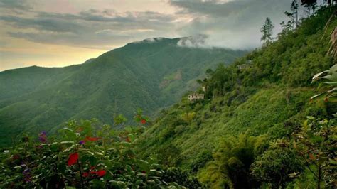 Hiking the Blue Mountain Peak | Experience Jamaique