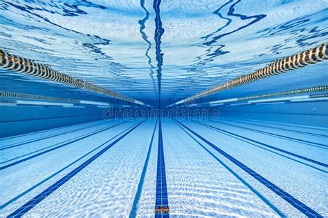 Top View of a Olympic-size Swimming Pool Stock Photo - Image of swim, training: 139182806