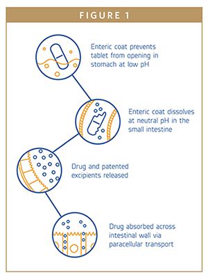 PEPTIDE THERAPEUTICS - Oral Peptide Therapeutics – Opportunities Abound ...