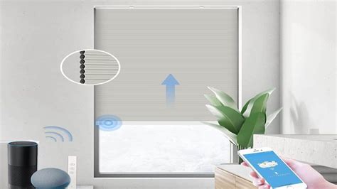 Style and Design Options for Motorized Blinds - TLB Mag