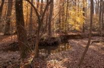 Rock Creek Park – Fall Colors | Dan Pence Photography