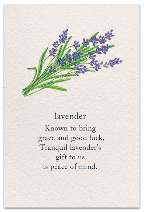 Lavender Quotes - ShortQuotes.cc