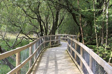 Walking Trails in Wicklow Mountains National Park. Stock Photo - Image of landscape, glendalough ...