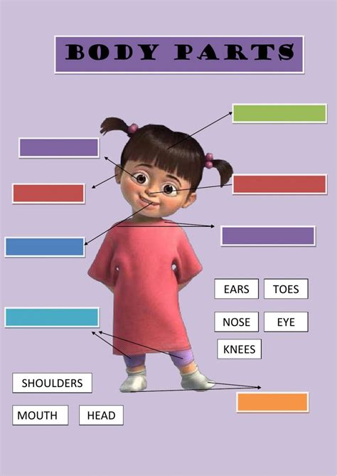 Parts Of The Body Worksheets K5 Learning Body Parts O - vrogue.co