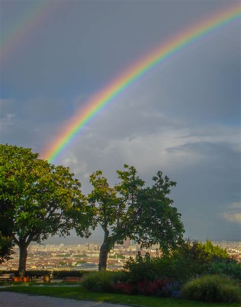 What Are The Most Common Rainbow Children Traits? | Indigo Test For ...