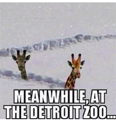 The Best Memes about Winter in Michigan