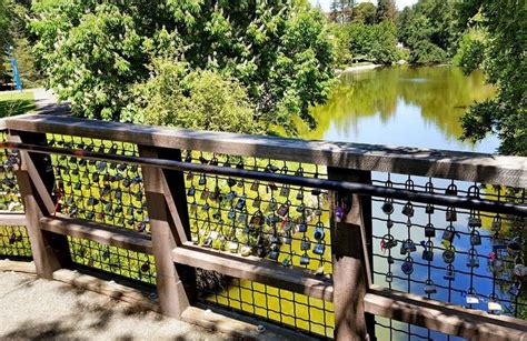 UC Davis Arboretum Day Trip: Relax And Explore Nature