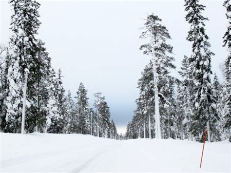 Ten things to do in Lapland in the winter | Velvet Escape