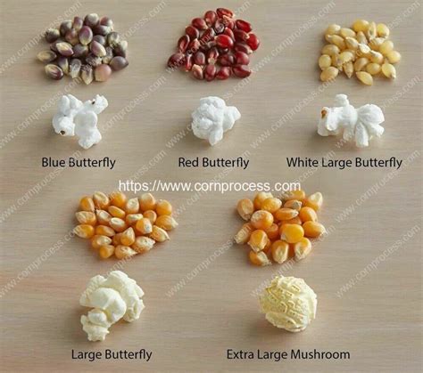 Different Type Popcorn Introduction - Corn Flake Machine, Puffed Corn Machine, Corn Processing ...