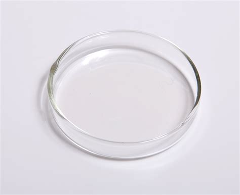 File:Glass Petri dish.jpg - Wikimedia Commons