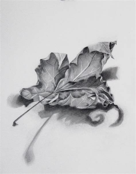 Pin by Portraits by Kathy Flood on Watercolors | Leaf drawing, Leaves sketch, Pencil drawings