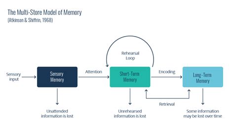 What Is Data Processing Principle? - Top Hot Video Games