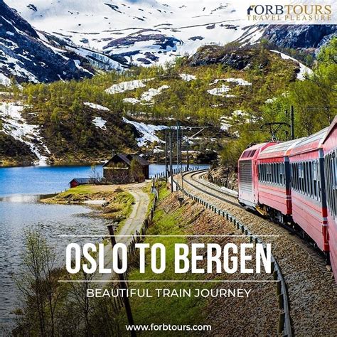 Oslo to Bergen | Scenic train rides, Scandinavia travel, Northern lights trips